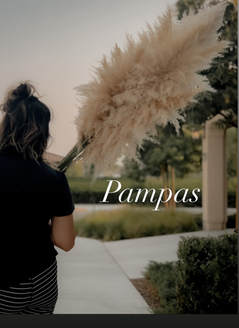 Who loves Pampas???